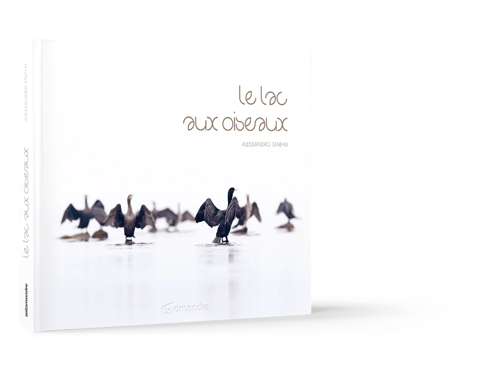 Intention photographique d'Alessandro Staehli