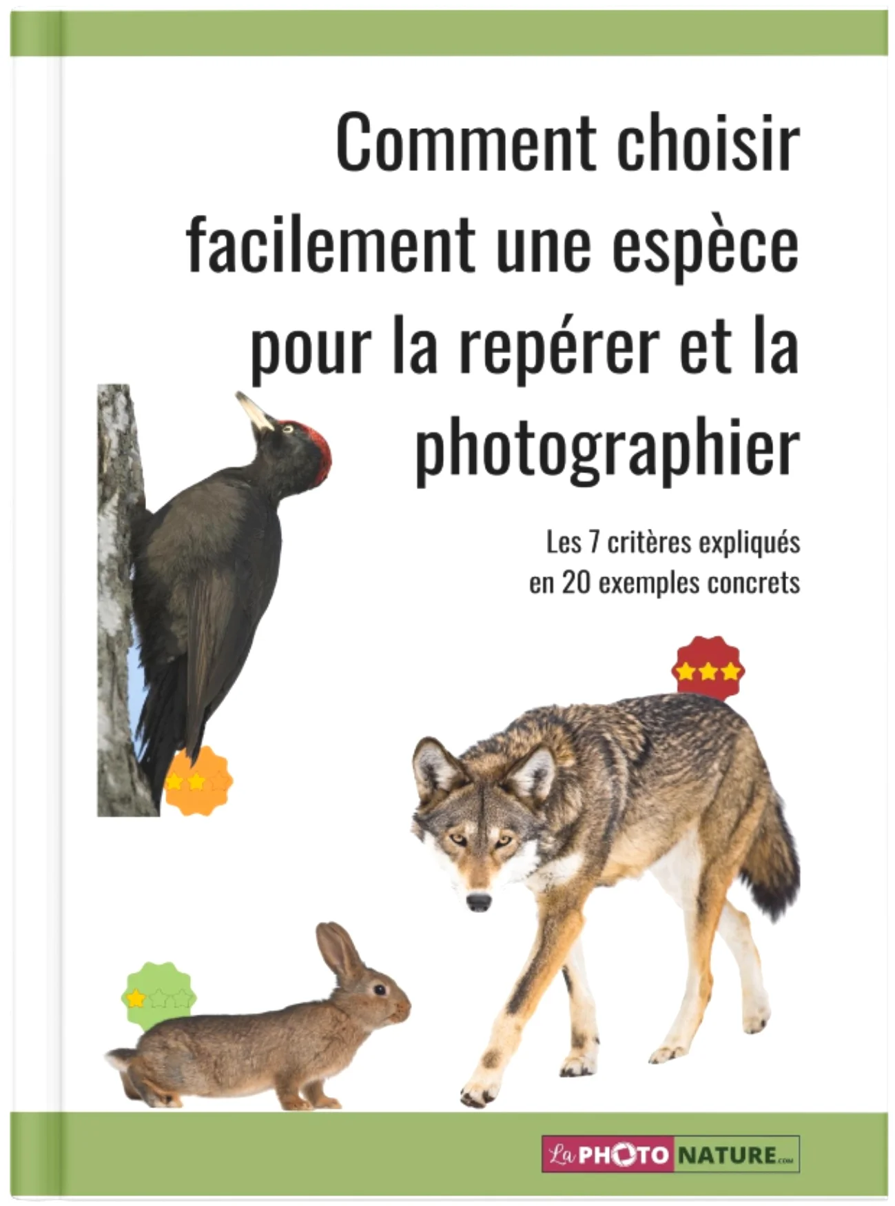 Repérer les animaux sauvage : bien choisir l'espèce qui vous intéresse. Repérer les animaux sauvage : bien choisir l'espèce qui vous intéresse.
