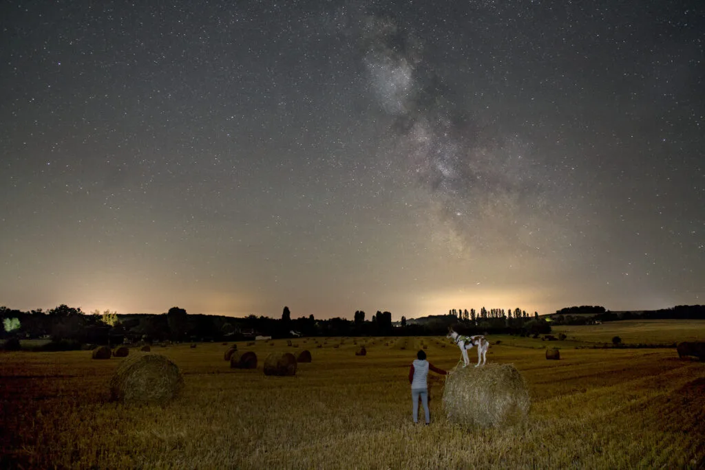 Observation d été de la Voie lactée et des constellations