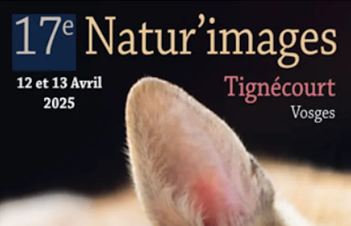 Le festival photo nature de Tignécourt fête ses 17 ans